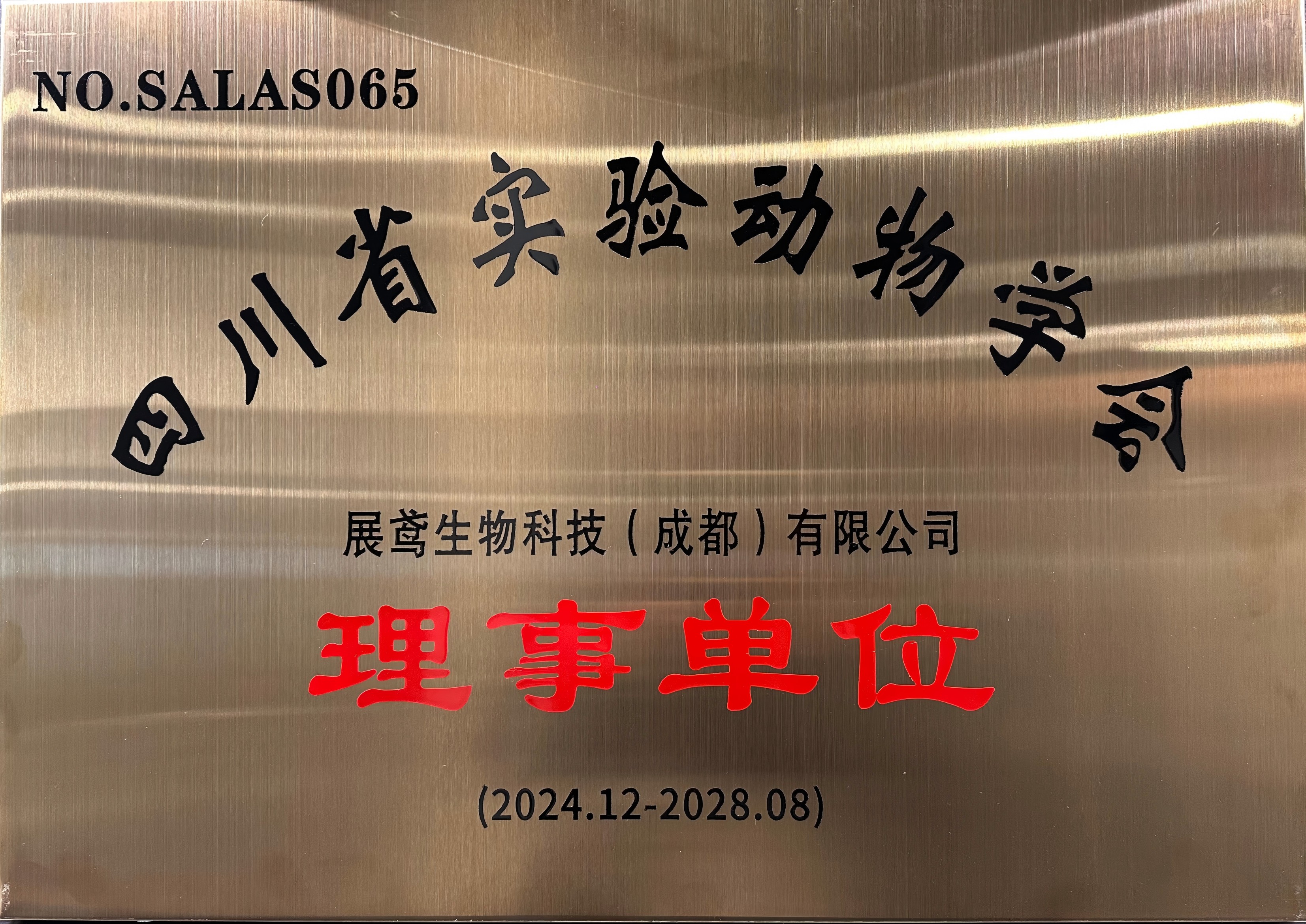 1736216878621723.jpg